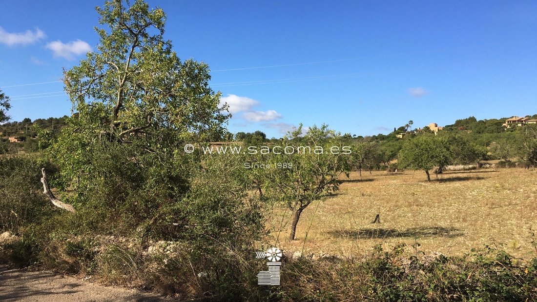 Terreno a S'Alqueria Blanca, Santanyí, Isole Baleari 5 - 12275757
