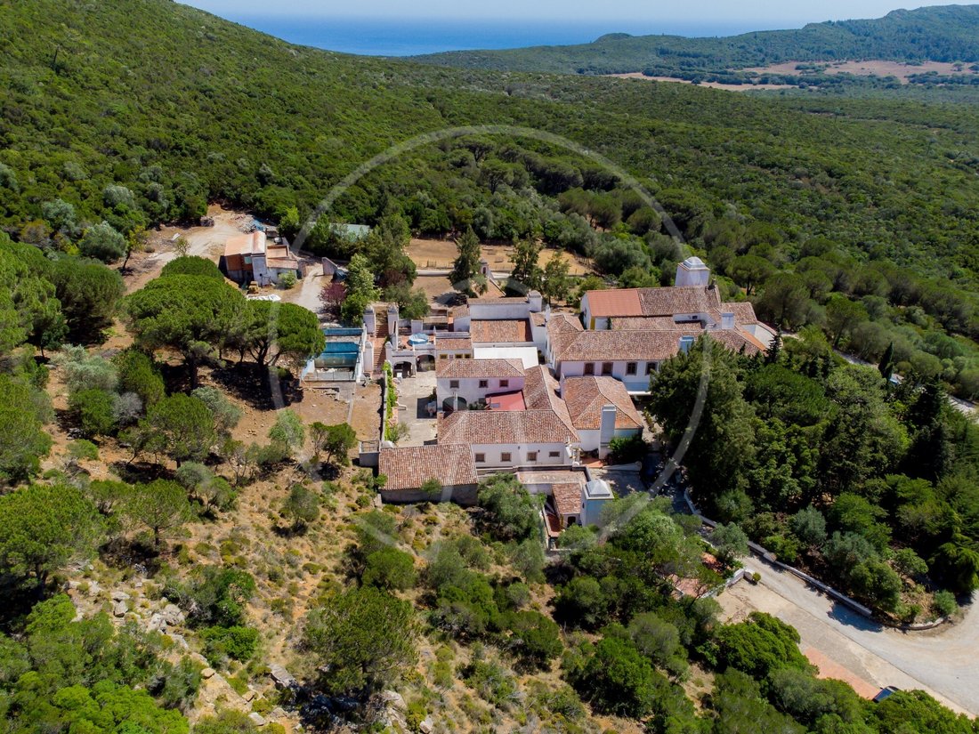 Finca in Azeitao (Sao Lourenco e Sao Simao), Setubal, Portugal 3 - 12217767