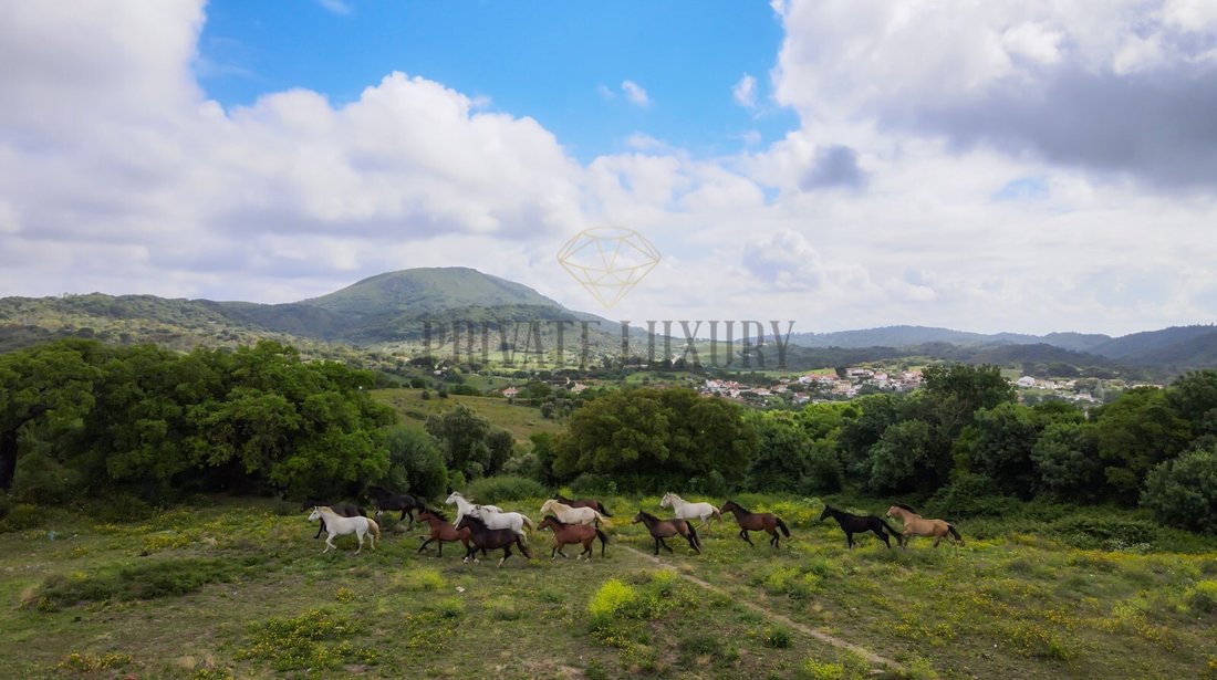 Finca in Azeitao (Sao Lourenco e Sao Simao), Setubal, Portugal 4 - 12489699