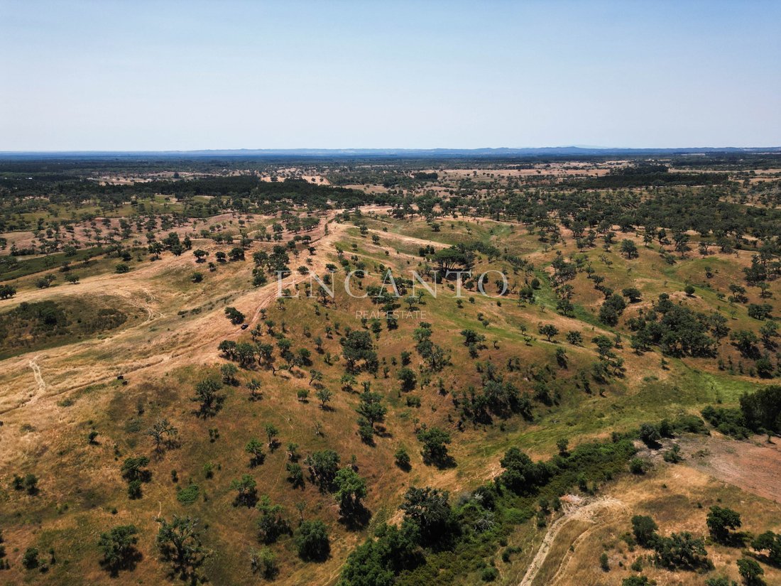 Estate in Sao Domingos e Vale de Agua, Setubal, Portugal 4 - 15985178