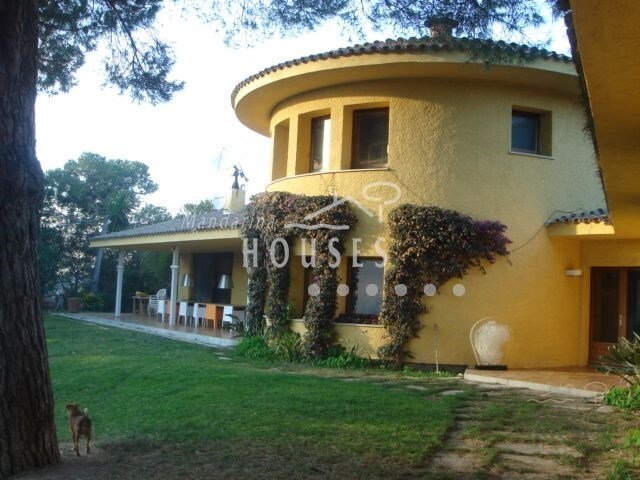 Finca in Argentona, Catalonia, Spain 4 - 10546466