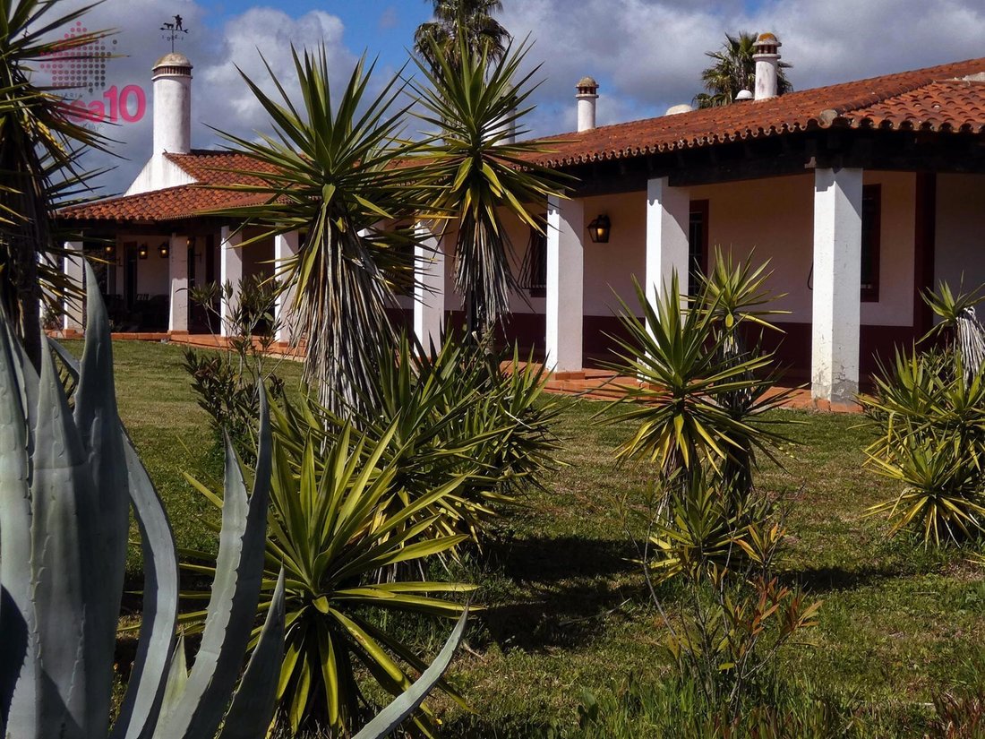 Estate in Vila Nova de Sao Bento e Vale de Vargo, Beja District, Portugal 5 - 14056617
