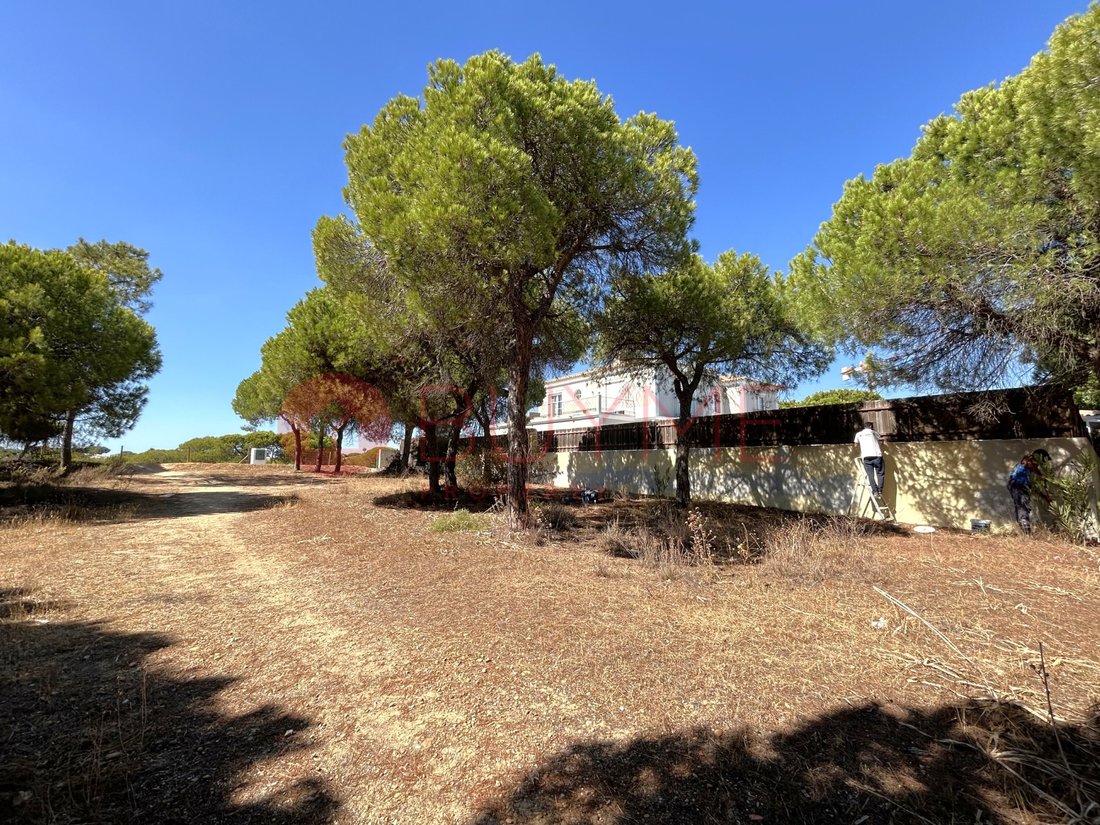 Land in Almancil, Algarve, Portugal 3 - 16487915