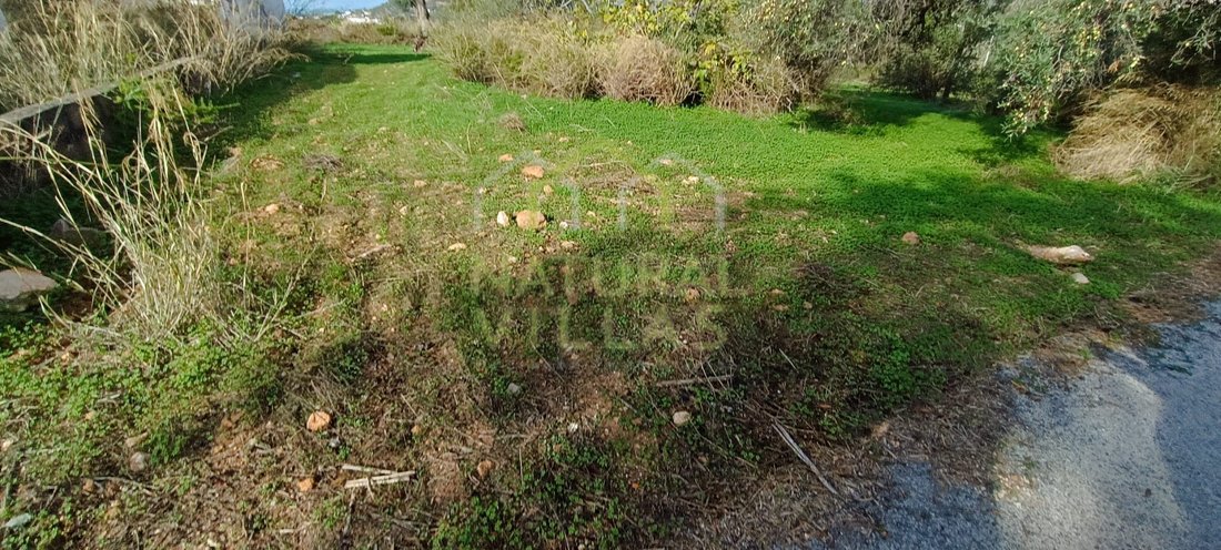 Land in Alvorninha, Leiria District, Portugal 4 - 16658611