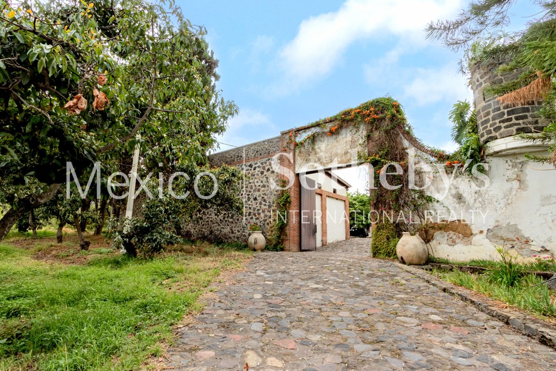 Terreno a San Juan Ocotepec, Puebla, Messico 4 - 16714684
