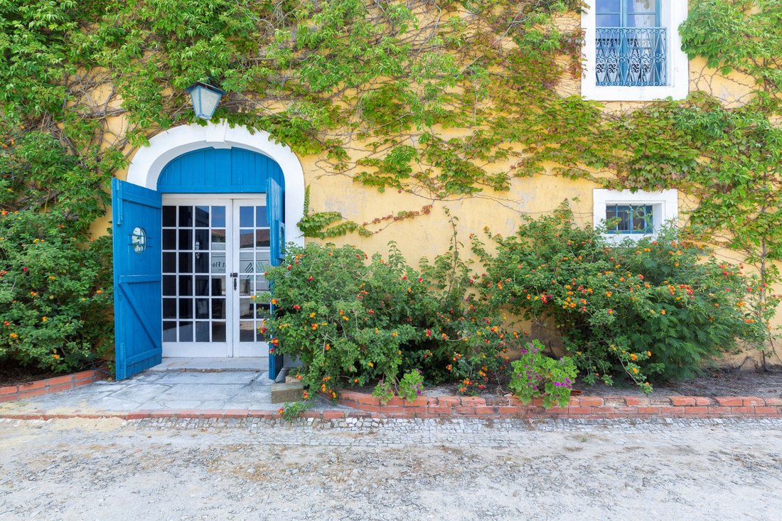 Finca à Valado dos Frades, Leiria, Portugal 3 - 16392500