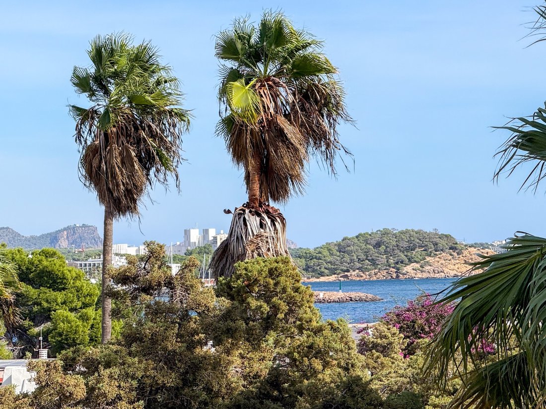Apartment in Santa Eularia des Riu, Balearic Islands, Spain 1 - 16613199