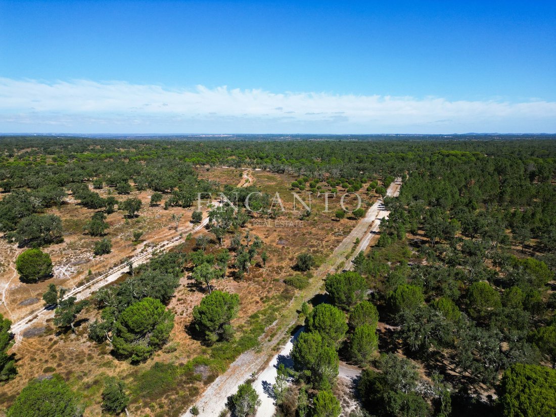 Estate in Setubal, Setubal, Portugal 3 - 16328829