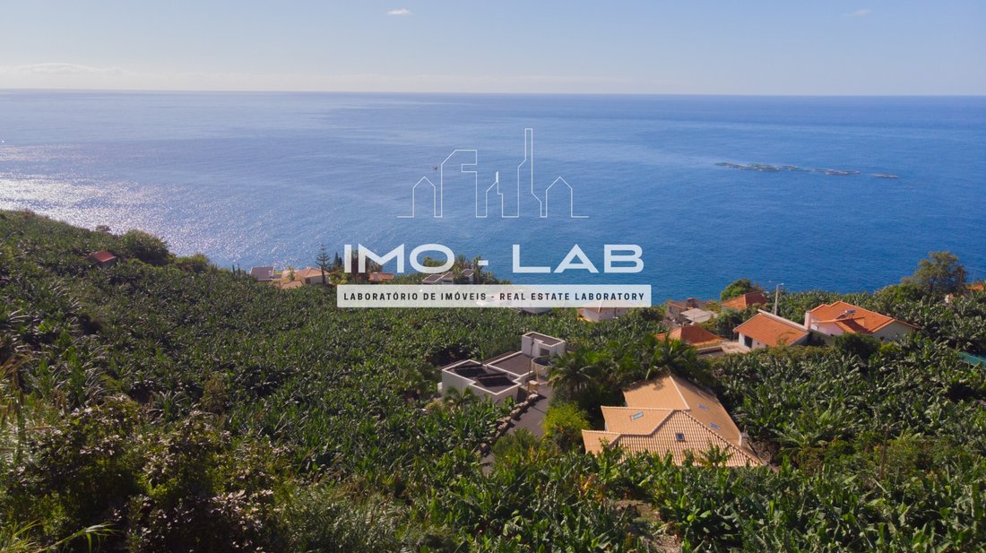 Land in Arco da Calheta, Madeira, Portugal 3 - 13438464