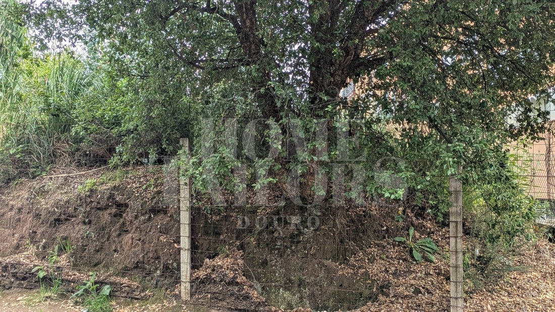 Land in Canelas, Porto District, Portugal 5 - 15866201