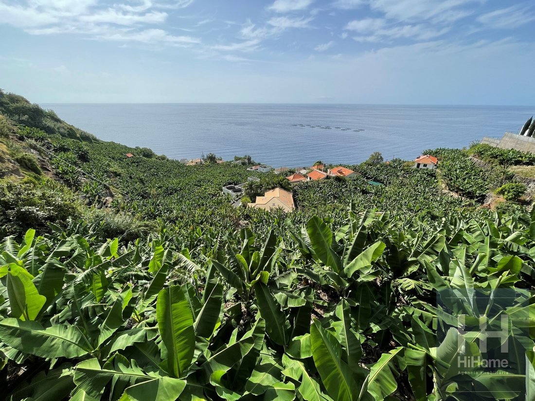 Land in Arco da Calheta, Madeira, Portugal 3 - 14065954