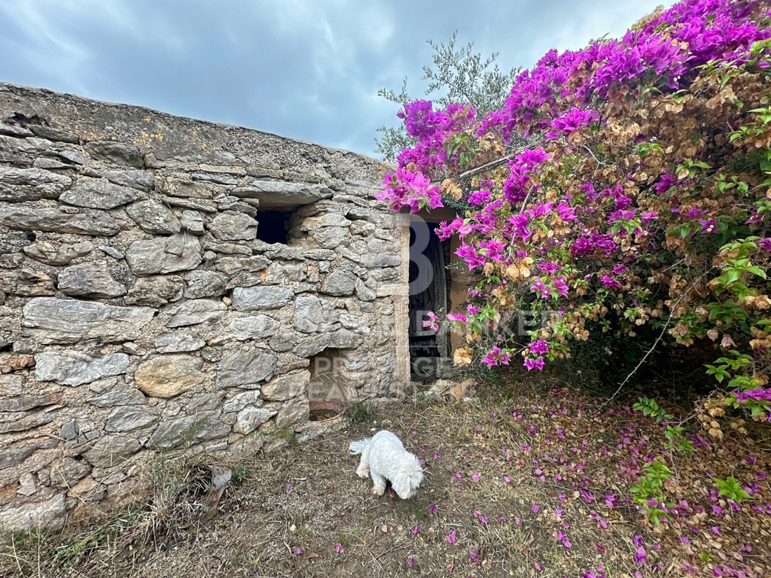 Finca in Arta, Balearic Islands, Spain 3 - 14690382