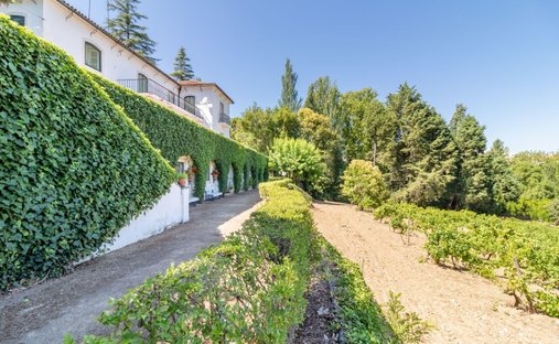 Finca in Sao Pedro, Lapas e Ribeira Branca, Santarem District, Portugal 1