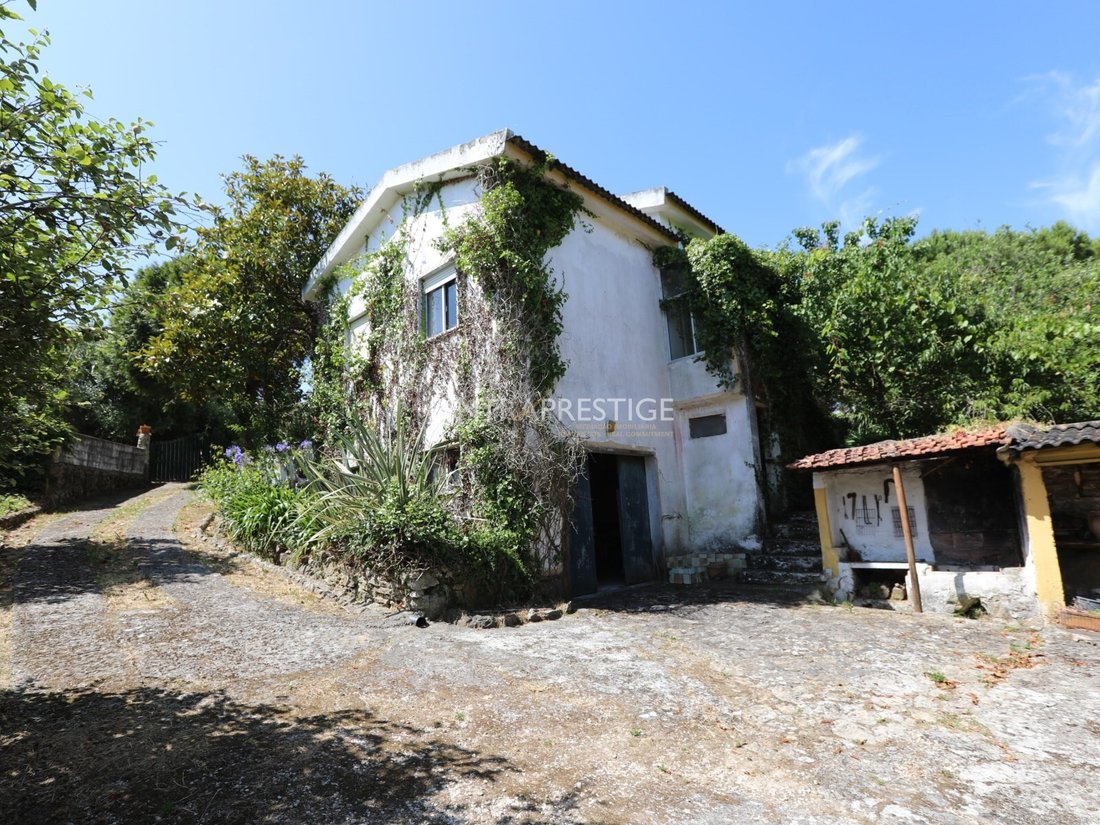House in Sintra, Lisbon, Portugal 4 - 16014962