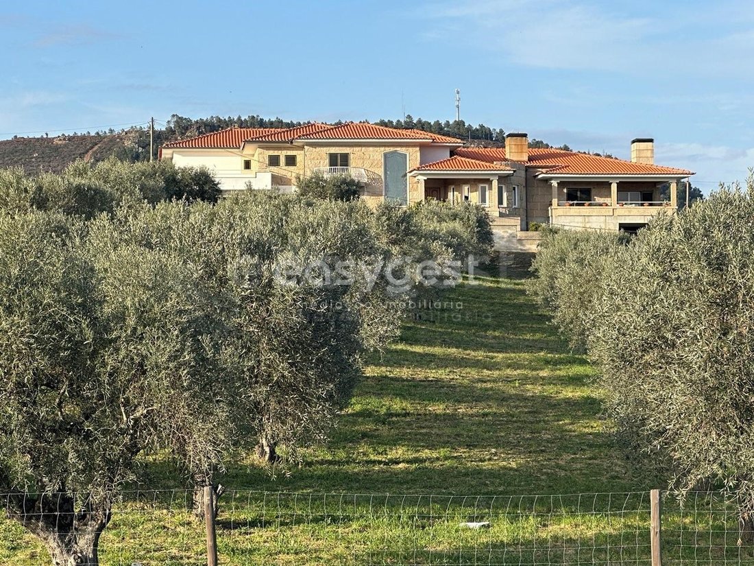Finca in Vila Flor e Nabo, Braganca District, Portugal 1 - 15778350