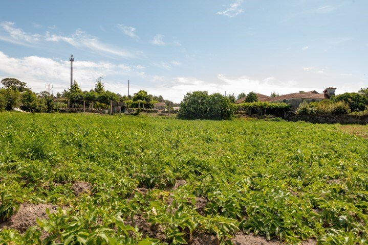 Finca in Nogueira e Silva Escura, Porto District, Portugal 3 - 15031785