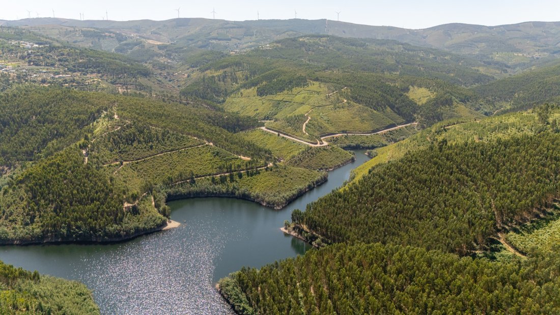 Finca in Serra e Junceira, Santarem District, Portugal 5 - 16206619