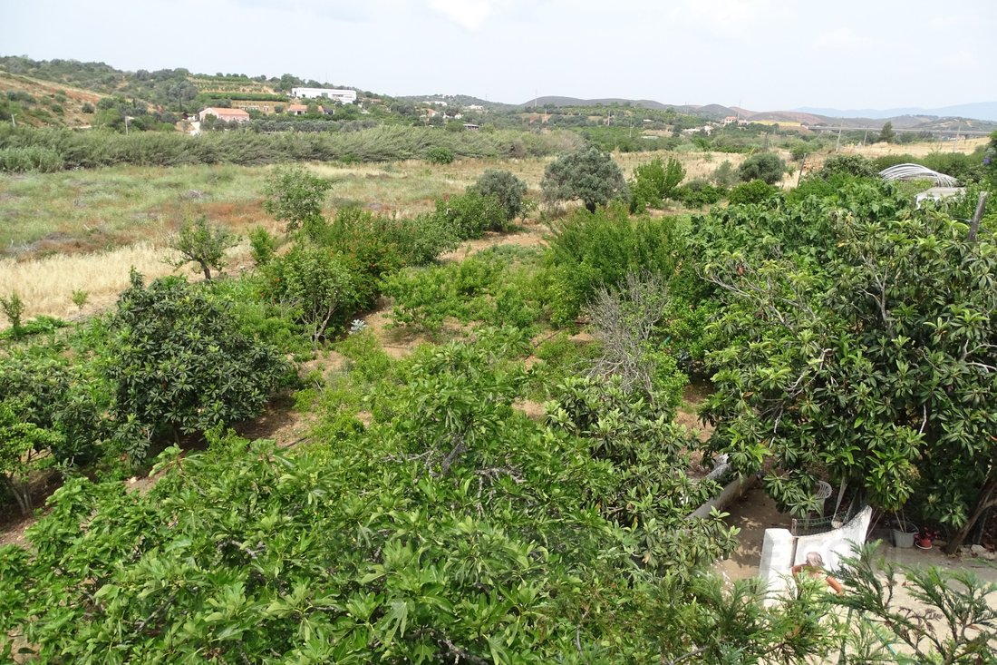 Finca in Mexilhoeira Grande, Algarve, Portugal 3 - 14777748