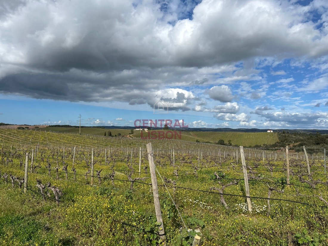 Land in Terena (Sao Pedro), Évora District, Portugal 4 - 15835374