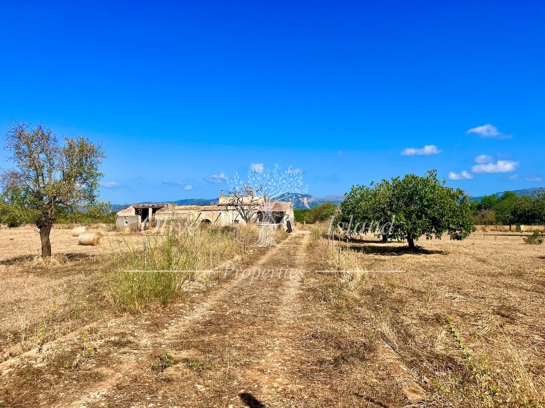 Land in Inca, Balearic Islands, Spain 2 - 16329406