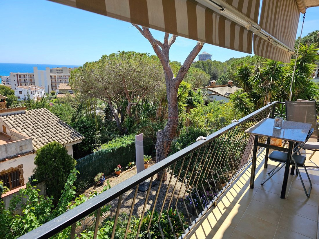 House in Torre Valentina, Calonge i Sant Antoni, Catalonia 1 - 14294467