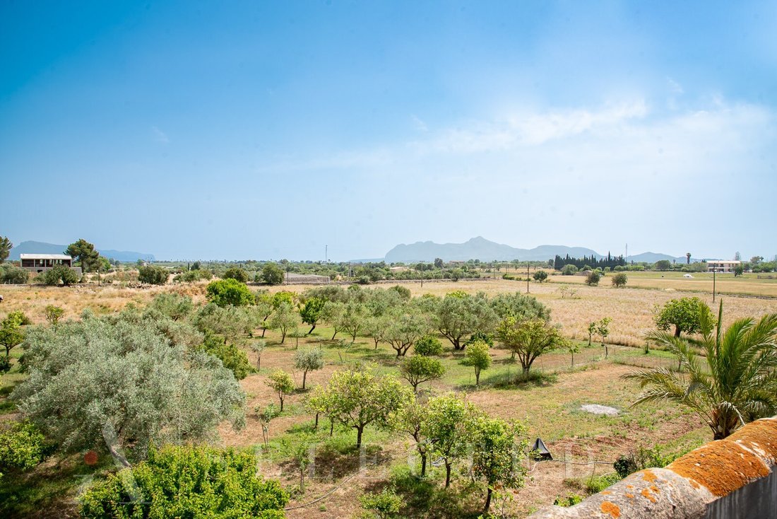 Land in Alcudia, Balearic Islands, Spain 1 - 12275910