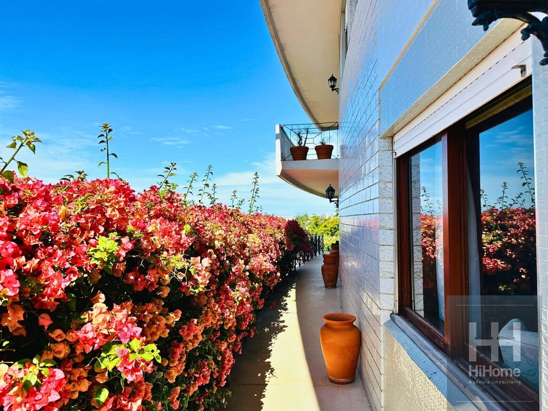 House in Santa Maria Maior, Madeira, Portugal 4 - 14346241