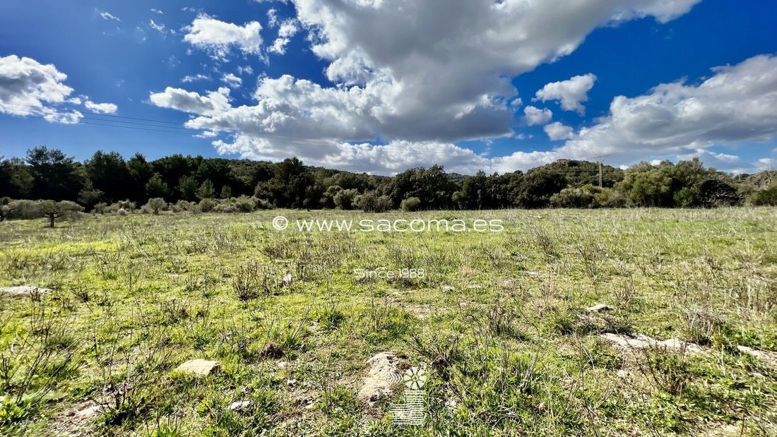Land in Arta, Balearic Islands, Spain 3 - 12629095