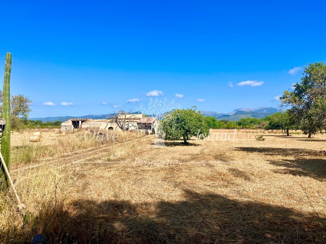Land in Inca, Balearic Islands, Spain 1 - 16329406