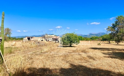 Land in Inca, Balearic Islands, Spain 1