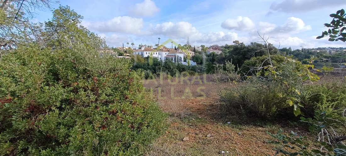 Land in Alvorninha, Leiria District, Portugal 3 - 16658611