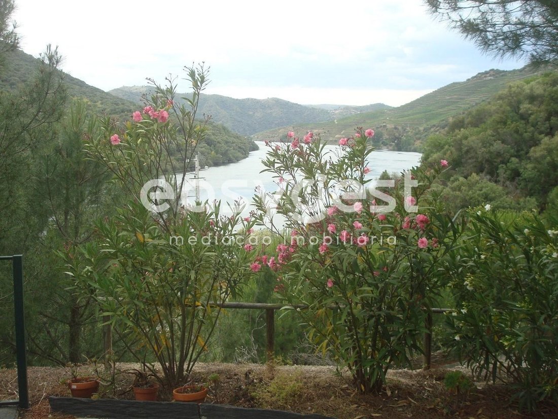 Finca in Ligares, Braganca District, Portugal 3 - 15778345