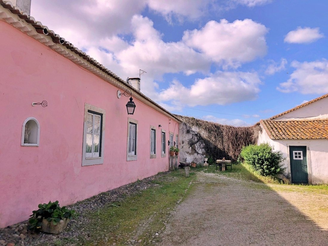 Finca in Riachos, Santarem District, Portugal 4 - 10984905