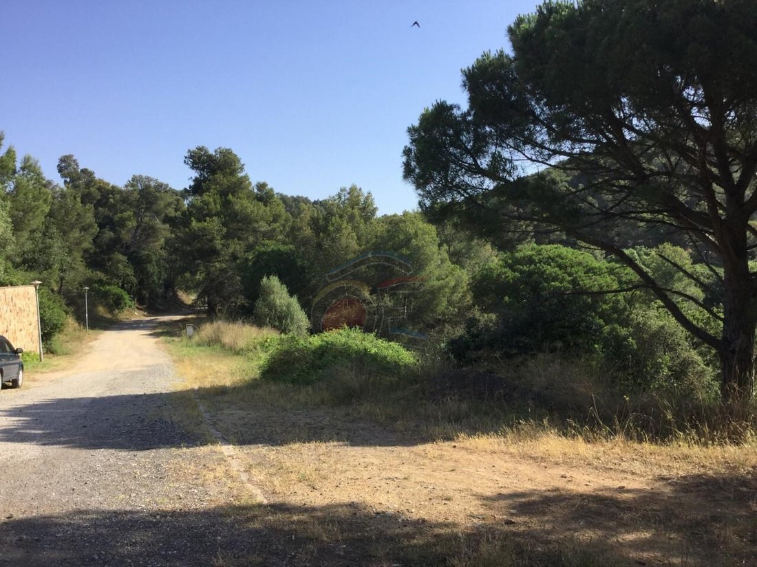 Land in Palamos, Catalonia, Spain 5 - 12274753