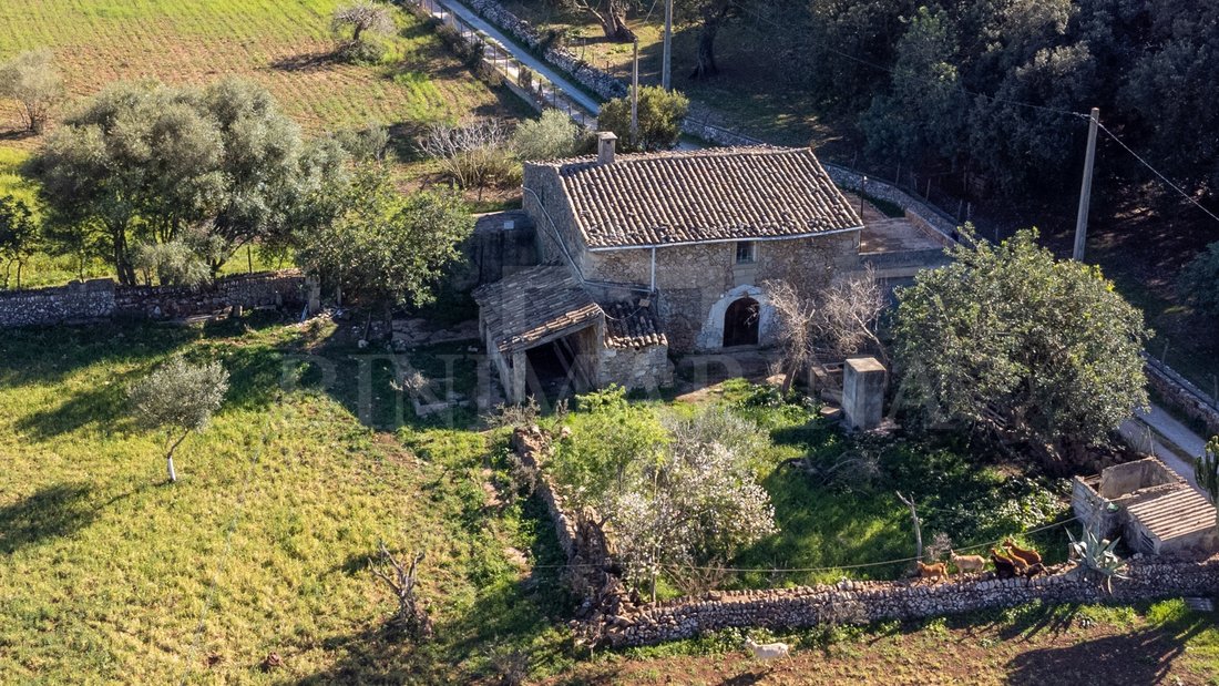 Finca in Pollenca, Balearic Islands, Spain 5 - 15728452