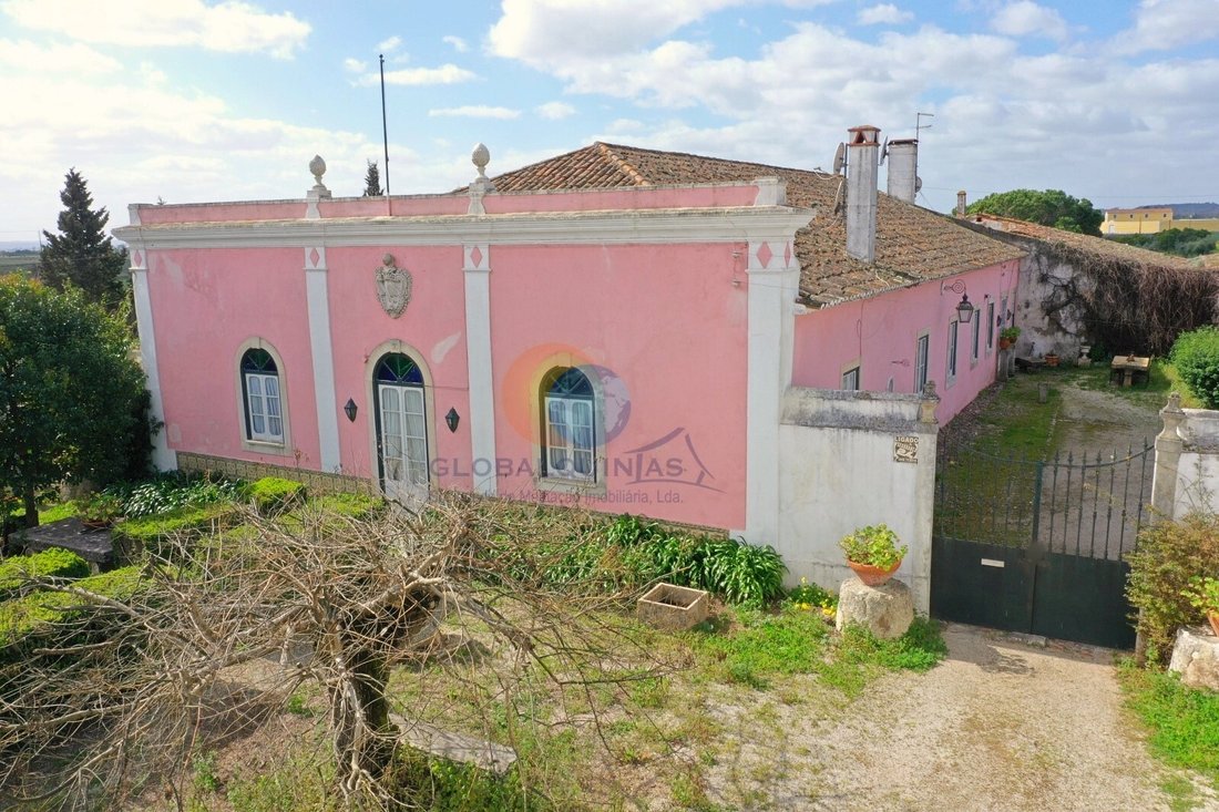 Finca in Riachos, Santarem District, Portugal 1 - 10984905