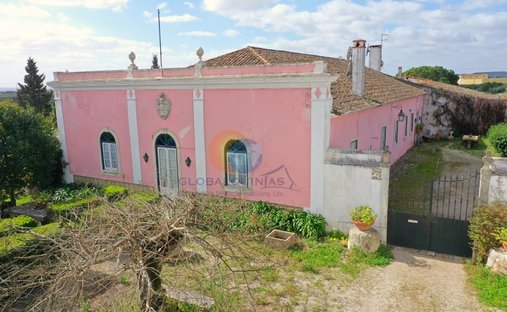 Finca in Riachos, Santarem District, Portugal 1