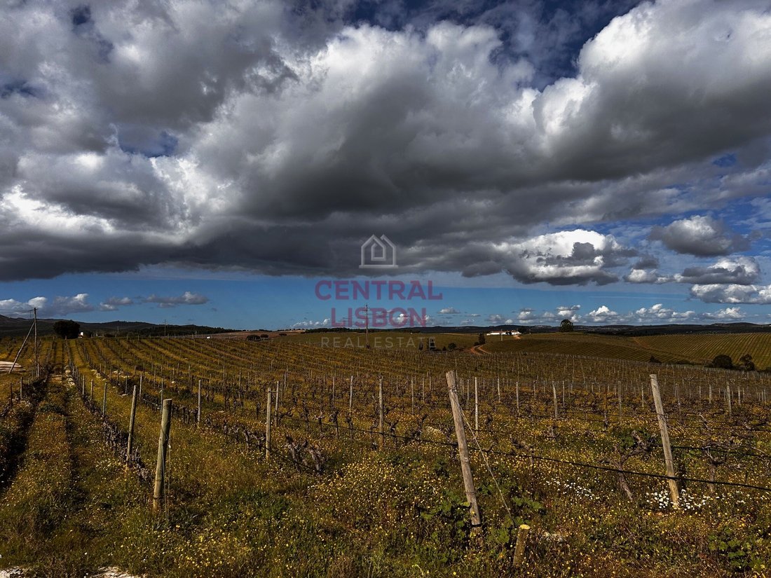 Land in Terena (Sao Pedro), Évora District, Portugal 1 - 15835374