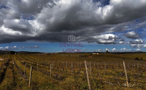 Land in Terena (Sao Pedro), Distrikt Évora, Portugal 1