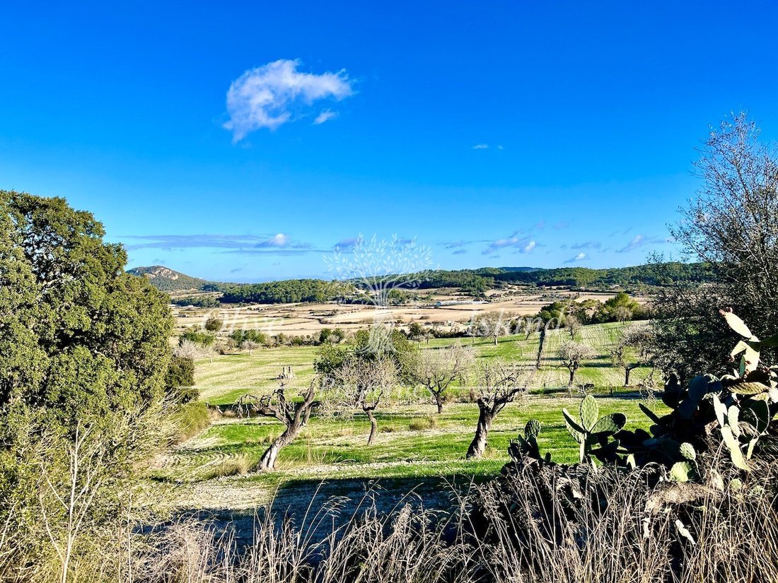 Land in Sineu, Balearic Islands, Spain 3 - 14947534