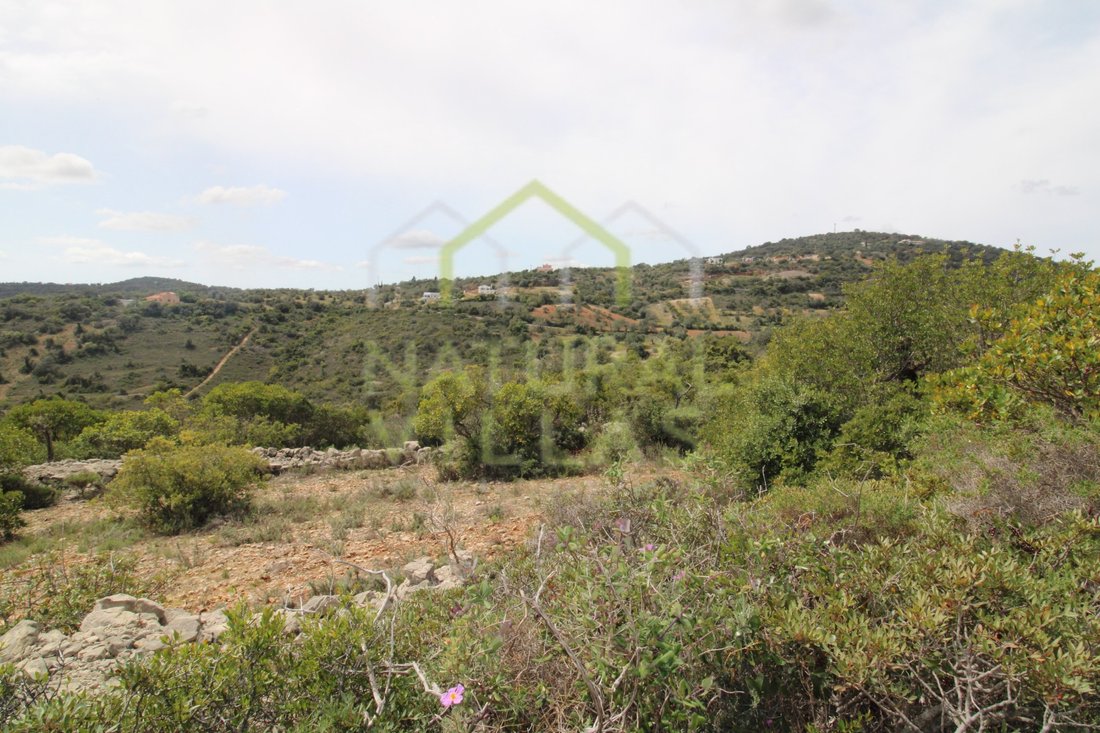 Land in Sao Bras de Alportel, Algarve, Portugal 2 - 16488291