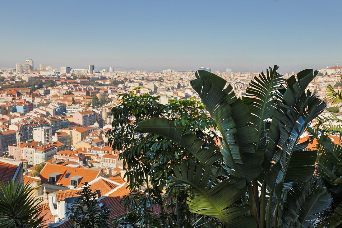 House in Sao Vicente, Lisbon, Portugal 1 - 15342306