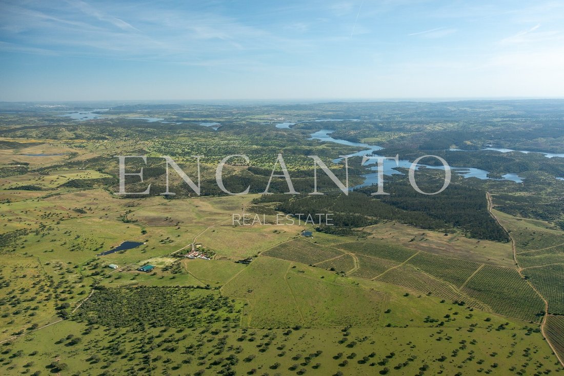 Estate in Reguengos de Monsaraz, Évora District, Portugal 4 - 16472616