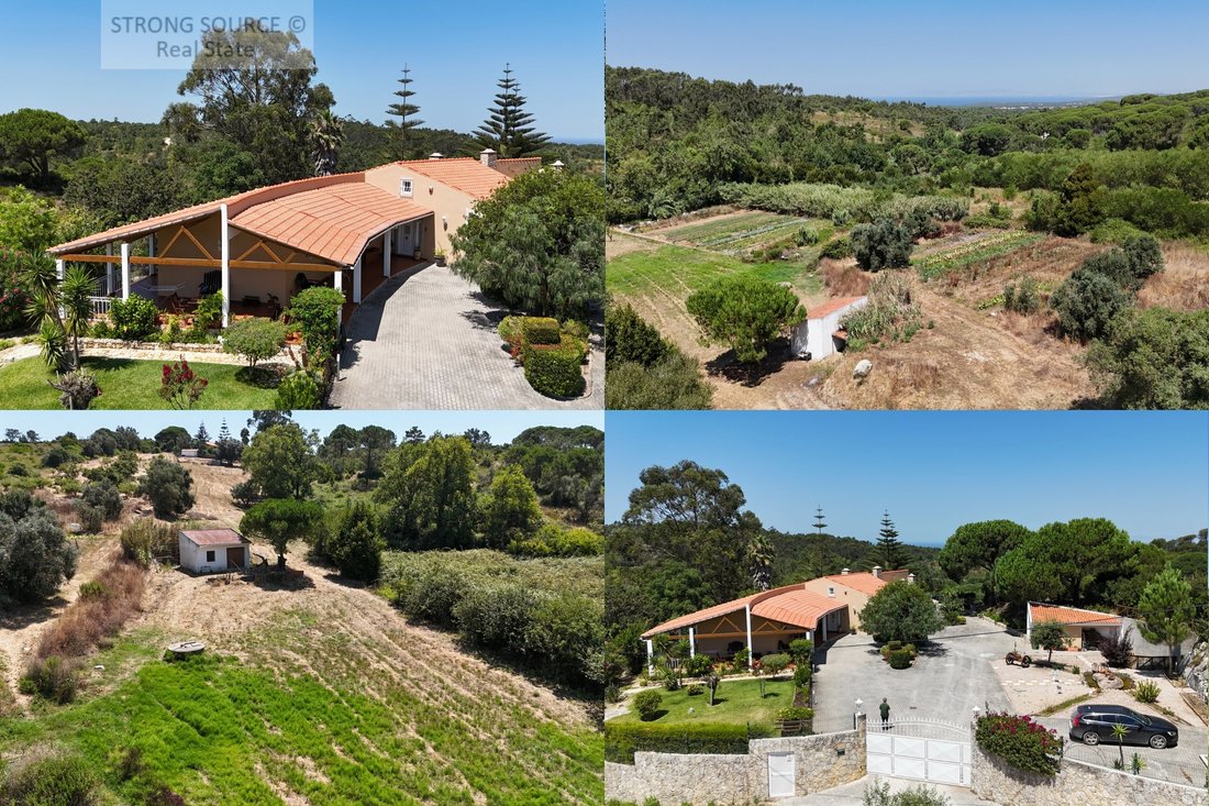 Finca in Sesimbra (Castelo), Setubal, Portugal 1 - 16006665