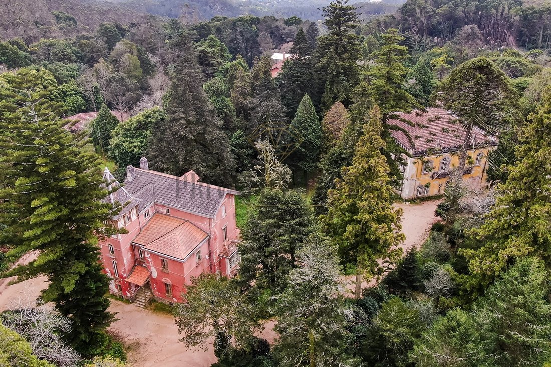 Finca in Sintra, Lisbon, Portugal 5 - 15251629