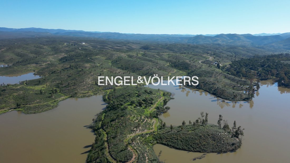 Andere in Huelva, Andalusien, Spanien 5 - 16716656