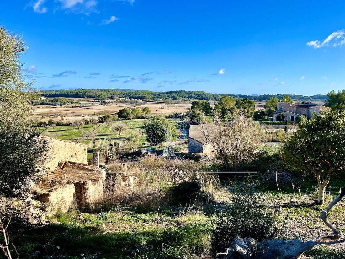 Land in Sineu, Balearic Islands, Spain 1 - 14947534