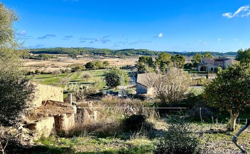 Terreno a Sineu, Isole Baleari, Spagna 1