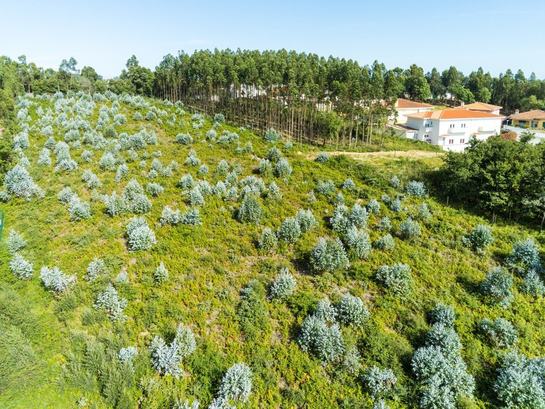 Land in Nogueira da Regedoura, Aveiro District, Portugal 2 - 12274654