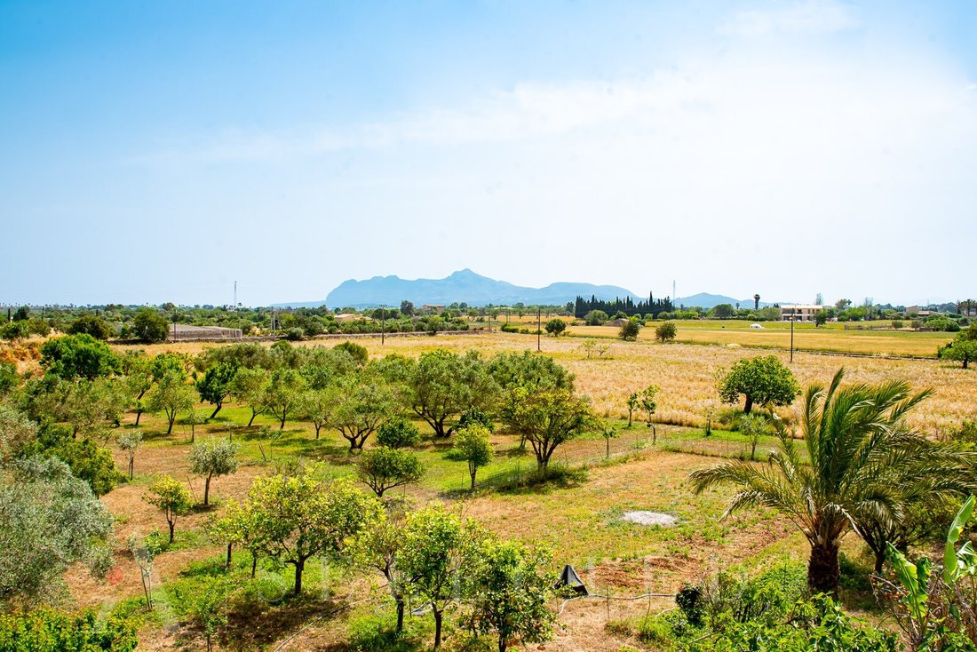 Land in Alcudia, Balearic Islands, Spain 2 - 12275910